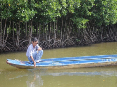 Tôm - rừng với tăng trưởng xanh