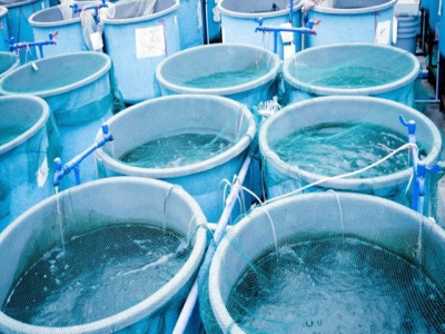 USDA to conduct special census studies on aquaculture, irrigation