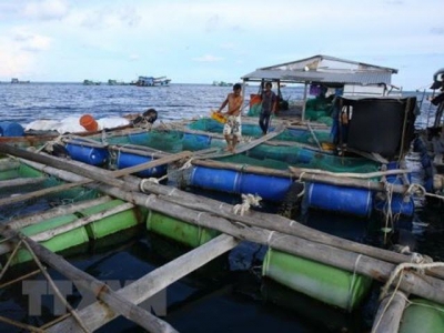 Aquaculture grows towards an industrial scale