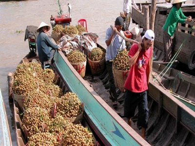 Vegetable, fruit export growth slows