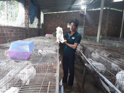 Hiệu quả bất ngờ từ mô hình chăn nuôi tổng hợp ở xứ Quảng