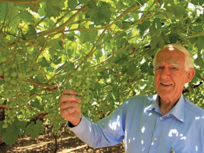 Secrets of a visionary fruit farmer