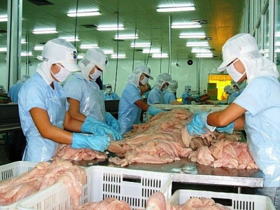 Pangasius exporters reduced their sales because of US market