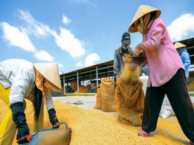 Agriculture sector posts 11M trade surplus of $8.8bn