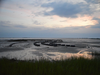 Diving deep into restorative aquaculture