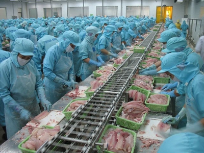 Monitoring and handling congestion of fishery products exported to China