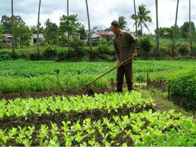 Ho Chi Minh City pilot to build temporary structures on agricultural land