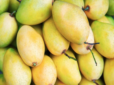 Vietnams mangoes export volumnes to US doubles