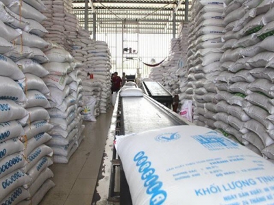 Govt orders solutions to support rice exporters to EU