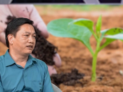 The potential to develop organic fertilizer production is huge