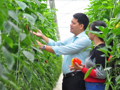 Vietnam consults world experience on green agriculture development