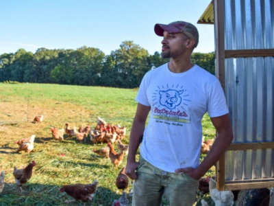 One farm tried to make sustainable food affordable - Heres what happened