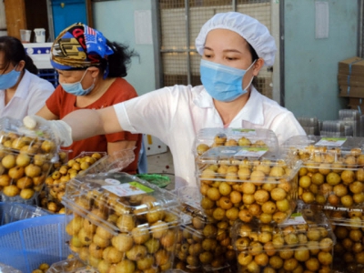 To establish a center for processing and preserving fruit applying Japanese standards