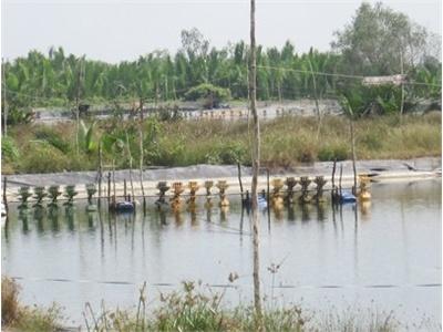 Cấp Điện Nuôi Tôm Ở Đồng Bằng Sông Cửu Long EVN Kêu Hết Tiền