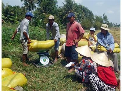 Châu Thành Hướng Đến Nền Nông Nghiệp Phát Triển Toàn Diện Theo Hướng Bền Vững Trong Năm 2014