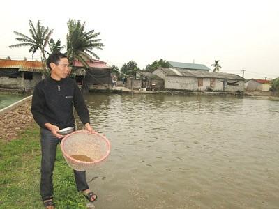 Học nuôi cá tại ao nhà mình