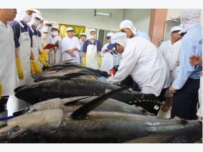 Japanese tariffs hobble Vietnamese tuna exports