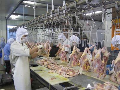 Vietnamese chicken breast to be exported to Japan
