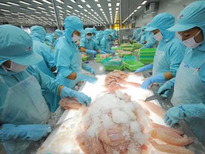 VietNam pangasius exports to hit US$1.66 billion in 2016