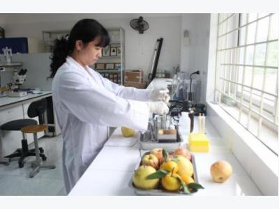 Agricultural enterprises actively participate in National Single Window