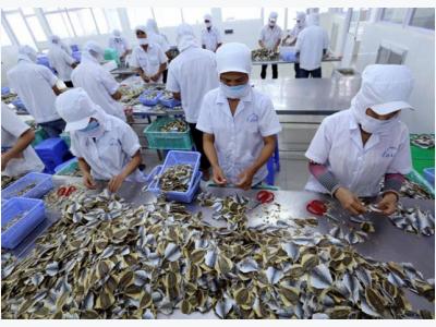 Seafood firms urged to register online