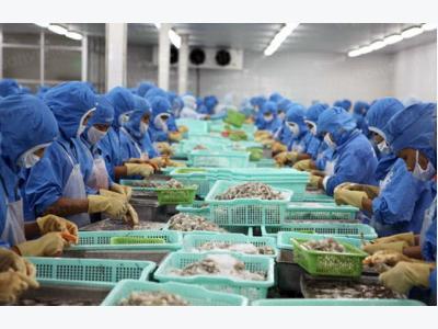 Shrimp export target ambitious, but achievable
