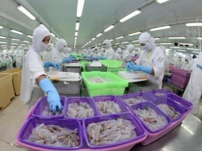 US to maintain AD duties on Vietnamese shrimp export