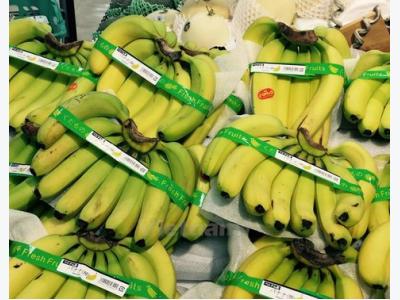 Viet Nams vegetable, fruit export value up by 14% in Jan