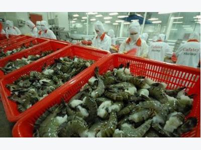 Trade ministry calls on Australian Government to lift ban on shrimp imports