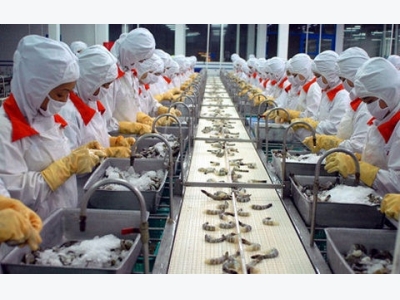 Tightened controls on antibiotic residues for shrimp industry