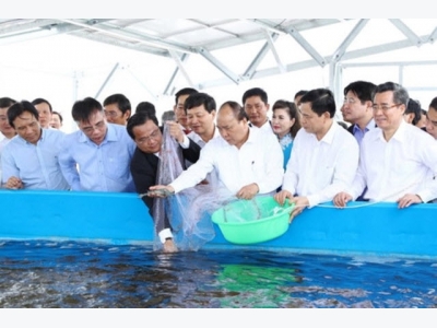 High-tech shrimp farming area constructed in Bac Lieu province