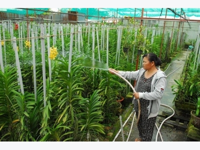 Vinh Long to revamp agriculture