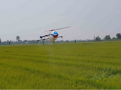 Vietnam studies unmanned helicopters for agriculture