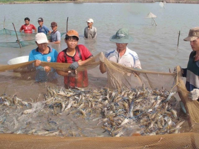 Mekong Delta aims for high-quality agriculture in 2019