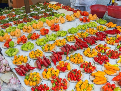 Common pepper species