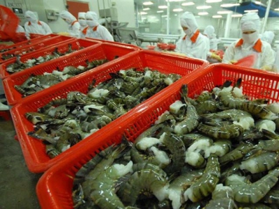 Việt Nam to promote shrimp exports to EU next year