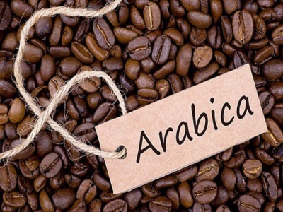 Arabica coffee prices set to enjoy bounce back in 2020