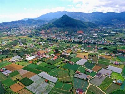 Việt Nams agriculture sector sets goals for 2020