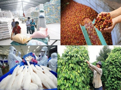 Agricultural exports target US$42 billion