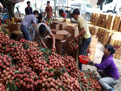 Vietnamese lychee prises open market door to Japan