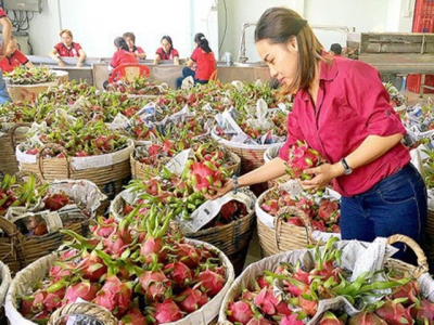 Vegetables, fruits exports post good growth