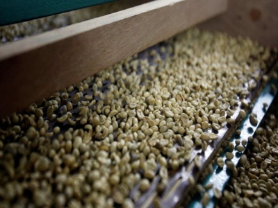Vietnam coffee prices edge up as farmers hold off selling