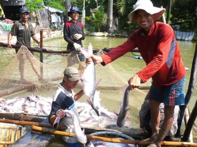 Fisheries sector to focus on standardising production for higher value