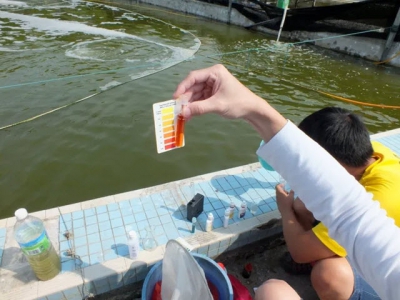 Can probiotics solve aquacultures water pollution issues?