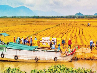 Hanoi agricultural sector estimated to expand at record rate of 4.2% in 2020