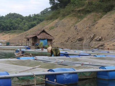 Fisheries sectors production value grows 6.3 percent year on year