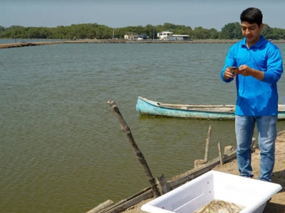 Ecuadors shrimp farmers cash in on new sales option