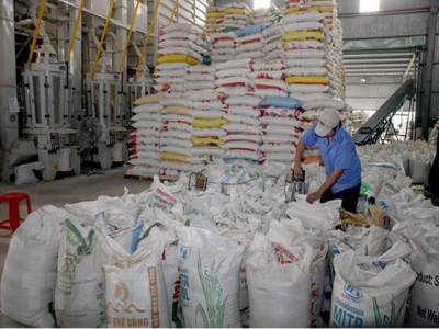 Mekong Delta region asserts Vietnamese rice brand internationally