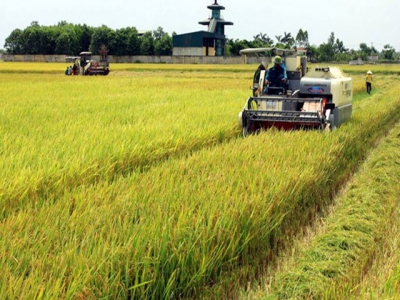 Can Tho intl workshop seeks to raise farmers income