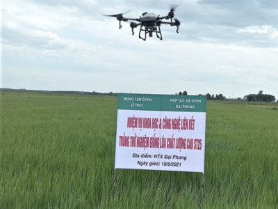 Quang Binh promotes science & technology-applied farming models